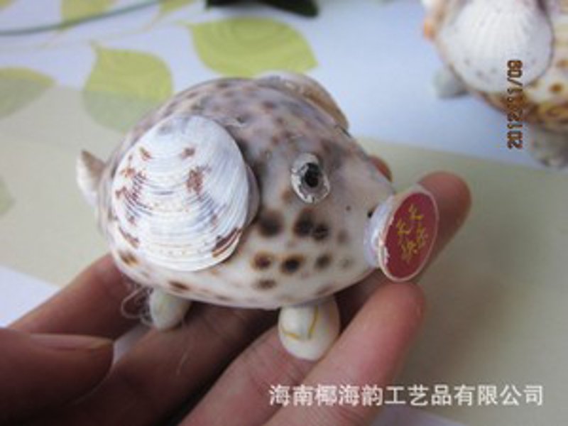 海南服装批发：时尚的绿洲